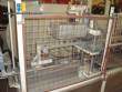 Termoformadora filling and sealing machine