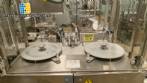 Sarong SAAS model blister forming and sealing machine for suppositories.