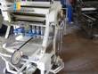 Pasta Ninhadeira with 250 kg capacity time