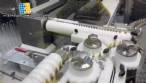 Rotary filling machine with sealer and depyrogenation and sterilization tunnel for injectable glass ampoules in 316L stainless steel Bausch with CFR 21
