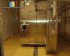Line for processes of preparation of meats and vegetables