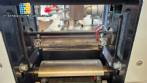 DXDZ-250X Inverted Flow Pack Packaging Machine