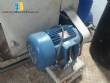 Extruder for pasta 250 kg / h Braiband