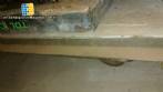 Fixed scale 500 kg carbon steel