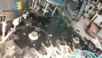 Rotary filling machine with nozzle 14 IMSB