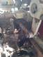 4 packaging machines Forgrove for soft bullets