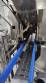 Line for brine filling manual product insertion and automatic capping