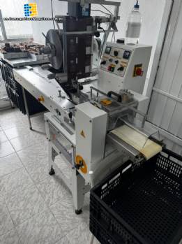 Kawamac PK 60 flow pack packaging machine