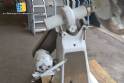 Smooth stainless steel drageer 100 liters