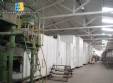 Industrial line for production of long pasta noodle spaghetti Braibanti