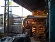 Steam boiler Eonia