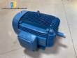 Conventional electric motor WEG