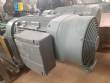 Netzsch helical positive pump