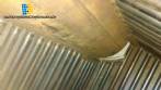 Boiler to generate steam 400 kg h W.V.W