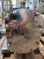 Lobe pump in 316 stainless steel Alfa Laval