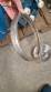 Castinox sanitary centrifugal pump with WEG 2 HP motor