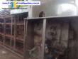 Continuous potato fryer for 250 kg per hour