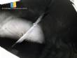 Stainless steel mixing tank
