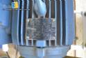 Hammer Mill Vieira 5 CV