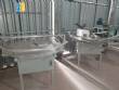 Masipack Neife Brapenta can filling line system for powdered products