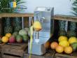 Automatic peeler for pineapple, mango and melon, 250 units per minute Astra