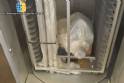 Marcepan gas rotary oven