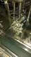 Filling machine with 6 nozzles Conserli