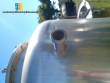 1000 liter stainless steel storage tank