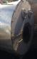 3 ATA brand Boilers