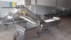 Stainless steel fish/seafood glazing machine Brusinox 1500 kg/h