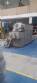 Stainless steel soap mass extruder 650 kg Mazbra