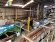 Industrial paint line for liquid paint