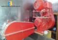 Line of chips for 250 kg