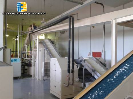 Cylinder and Duplex extruder vacuum Homogenizer