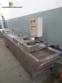 Continuous pasteurizer of fresh pasta 200 kg h IMA
