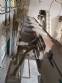 Selector and weigher for Lenke meat cuts