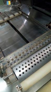 Line for manufacturing wafer Haas