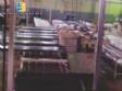 Line of sweet and savory laminated cookies 2.200 kg
