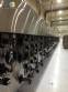 Line for the production of biscuit Ariete