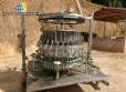 Automatic eviscerator of chickens