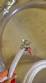 Stainless steel filling machine for beer liquids in Brabeer bottles