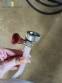 Stainless steel filling machine for beer liquids in Brabeer bottles